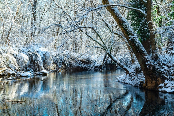 Obraz Winter landscape