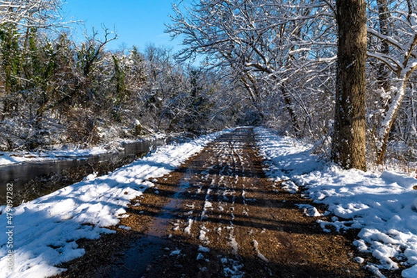 Obraz Winter landscape