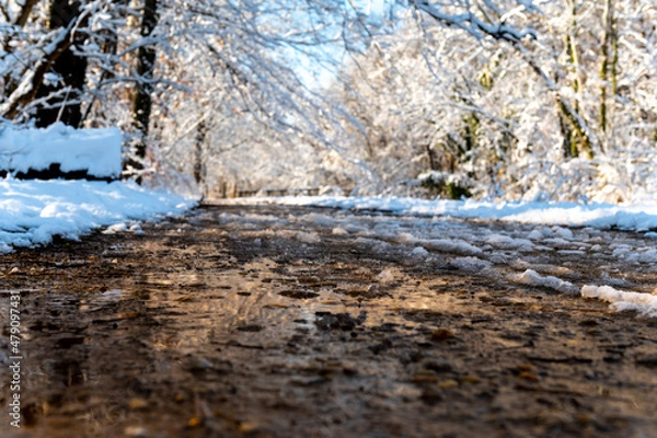 Obraz Winter landscape