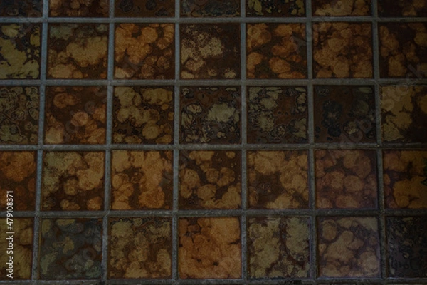 Fototapeta 玄関のタイル