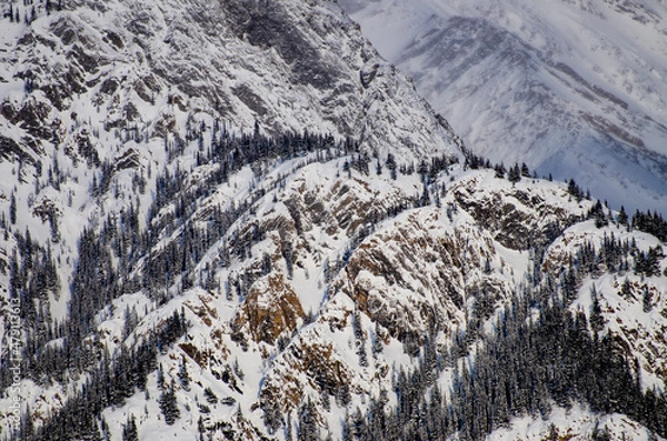 Obraz Snow on Mountains Close-up