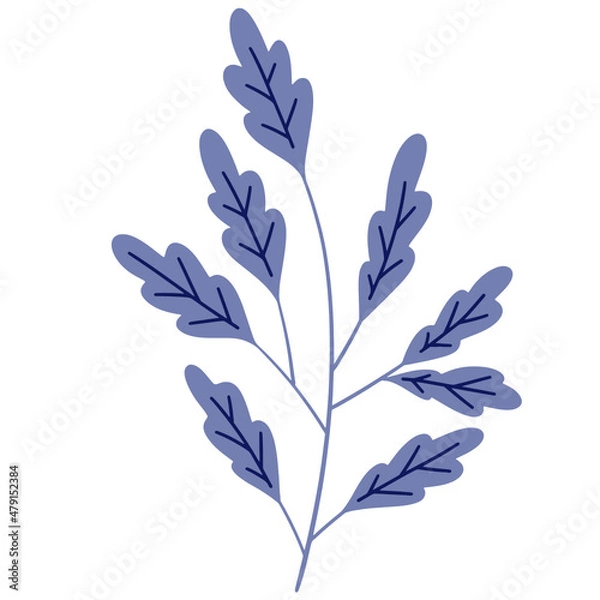Obraz Leaf branch vecor, leaf vector, branch leaves