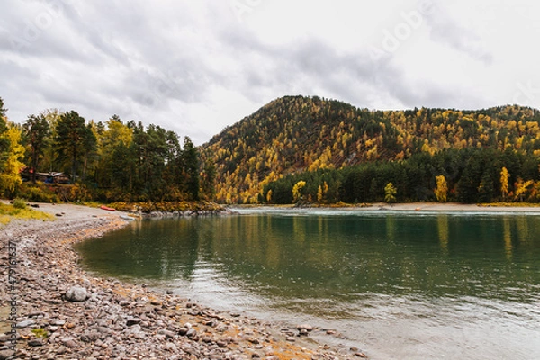 Fototapeta Mountain river surrounded by high rocks in Altai