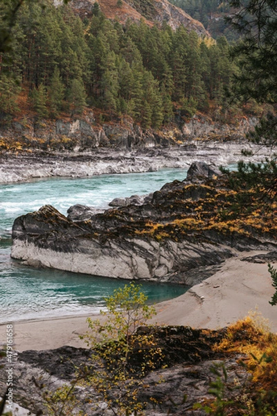 Fototapeta Mountain river surrounded by high rocks in Altai