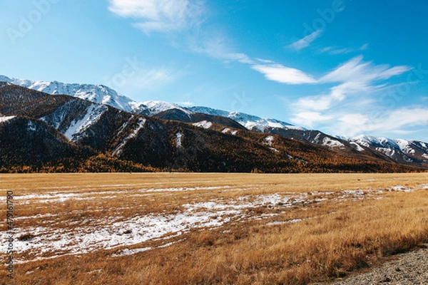 Fototapeta High cliffs in the mountains with snow on the peaks in Altai