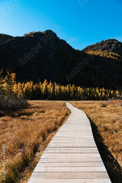Fototapeta A road in the mountains with beautiful landscapes and views of rocks and peaks in Altai