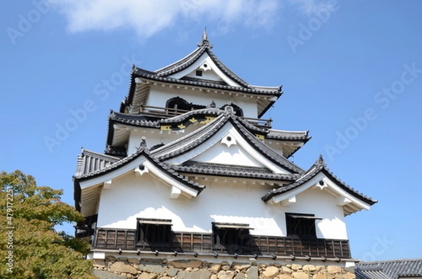 Fototapeta 彦根城 天守閣