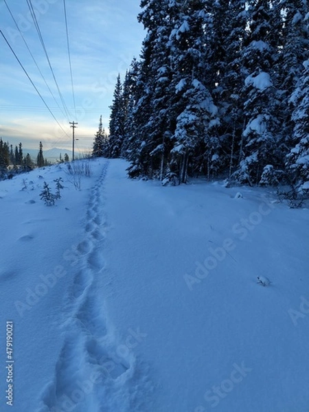 Obraz Yukon Territory, Canada