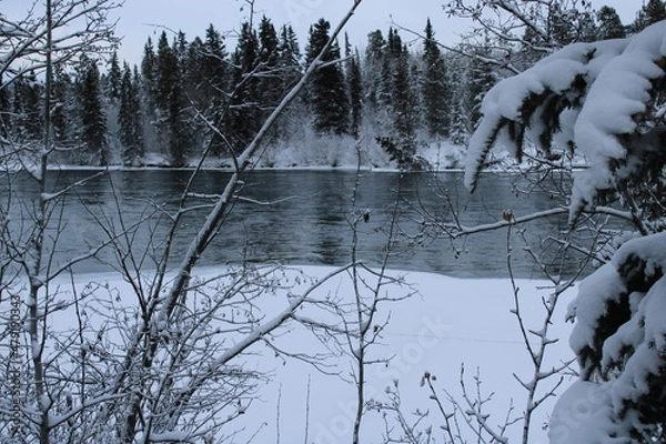 Obraz Yukon Territory, Canada