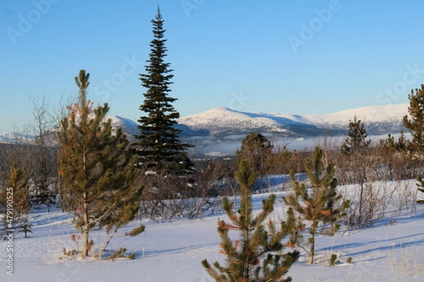 Obraz Yukon Territory, Canada