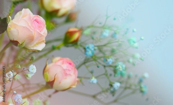 Fototapeta White roses and chrysanthemums on a white background. Bride's bouquet. background. Soft pastel colors. Background for postcards, invitations, and greetings.