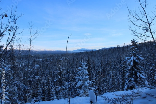 Obraz Yukon Territory, Canada