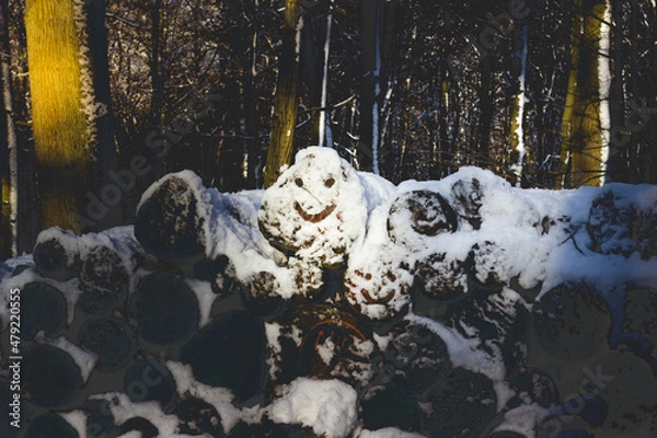 Obraz Schnee Smiley im Holzstapel
