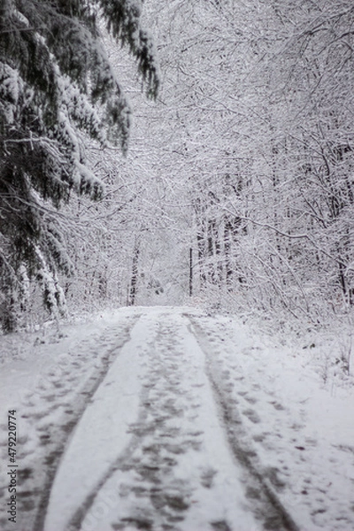 Obraz Schneebedeckter Weg durch einen Winterwald
