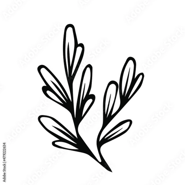 Fototapeta One hand drawn floral element. black vector plant element for design. Doodle isolated on white