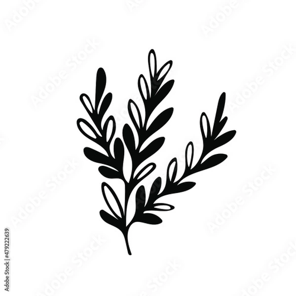 Fototapeta One hand drawn floral element. black vector plant element for design. Doodle isolated on white