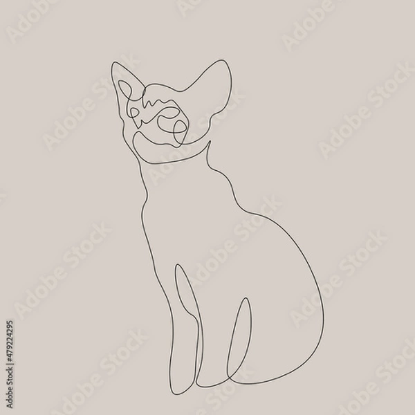 Obraz one line art hand drawing cat