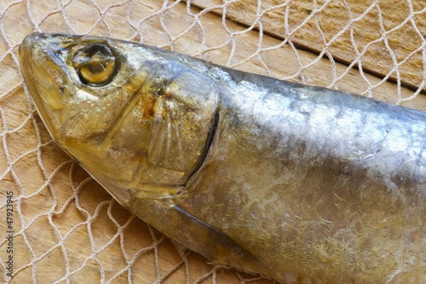 Fototapeta Arenque