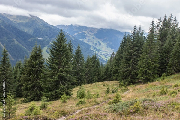 Obraz hiking in the mountains