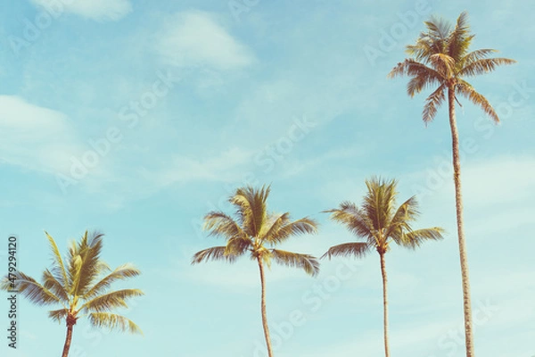 Fototapeta Tropical palm tree with blue sky and cloud abstract background. Summer vacation and nature travel adventure concept.