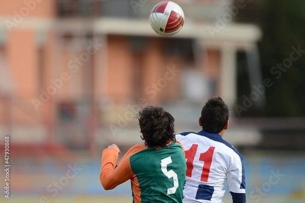 Fototapeta Colpo di testa