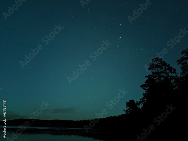 Obraz starry night sky