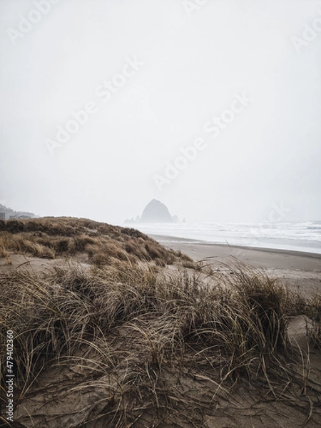 Fototapeta Winter storm at Haystack Rock