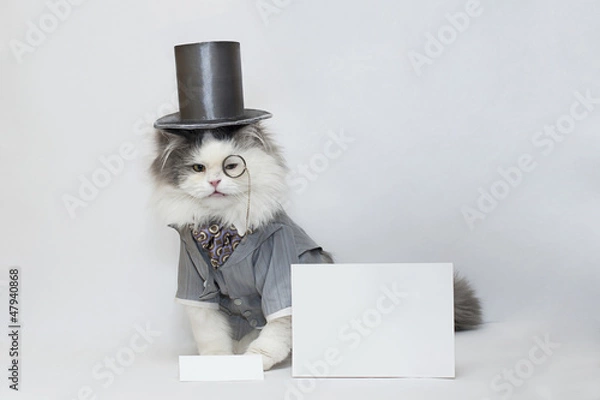Obraz intelligent cat