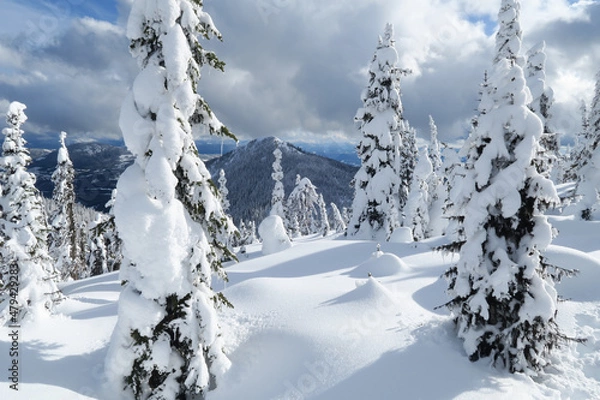 Obraz winter landscape with snow covered trees in Red Mountain