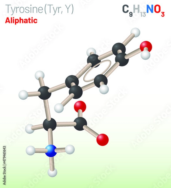 Fototapeta Tyrosine (Trp, W) amino acid molecule. (Chemical formula C9H11NO3) Ball-and-stick model, space-filling model and skeletal formula. Layered vector illustration