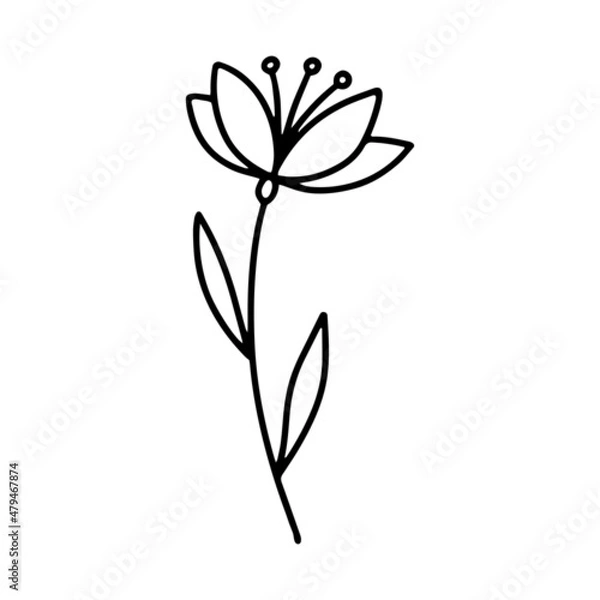 Fototapeta Cute flower in doodle style. Congratulations on the day of engagement or Valentine's Day. Cartoon sketch. An element for greeting cards, posters, stickers and seasonal design.