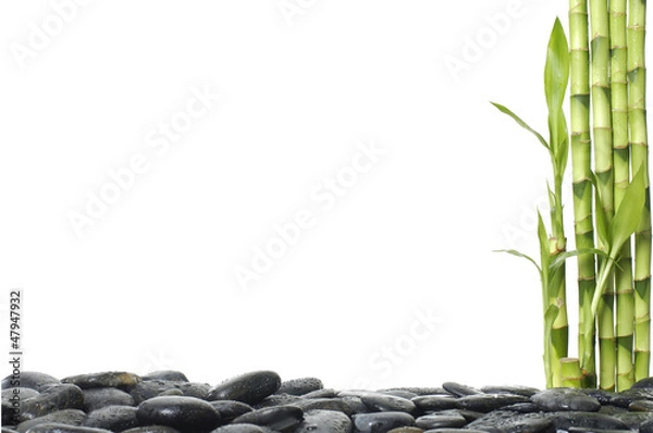 Fototapeta Spa still life with bamboo grove and pebble