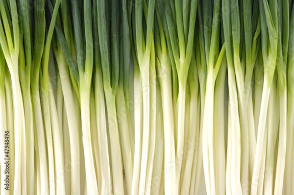 Fototapeta texture background of fresh Scallion