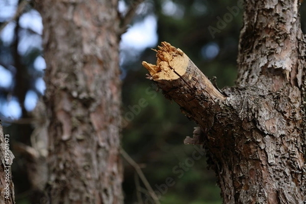 Obraz より良くなるために