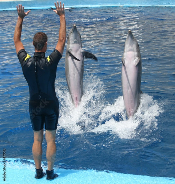 Obraz bawiąc się z delfinami