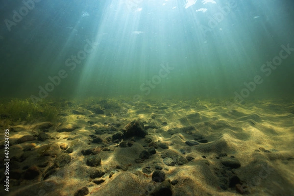 Fototapeta Beautiful sand bottom in sunlight. Sea floor view of small stones on a sand. Crystal clear lake water, underwater photography.