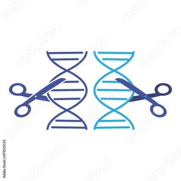 Fototapeta Schematic representation of DNA and genetic scissors. Scissors cutting the DNA strand. Flat vector illustration. 