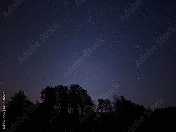 Obraz starry night sky