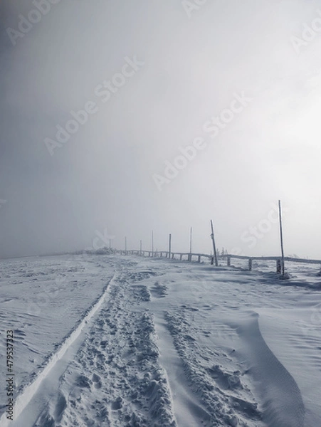 Obraz landscape with snow