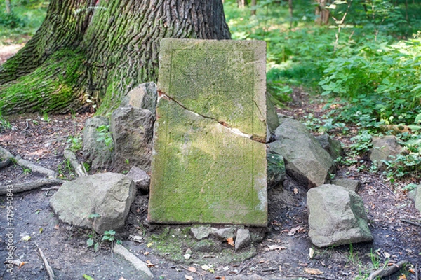 Obraz Landschaftspark Machern - Rittergrab
