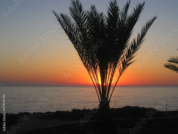Fototapeta sunset on the beach