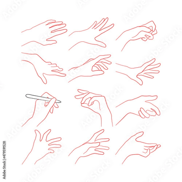 Fototapeta A selection of line art sketches of hand images