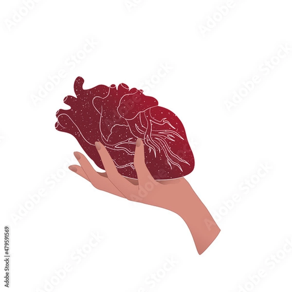 Fototapeta A woman's hand holds the heart