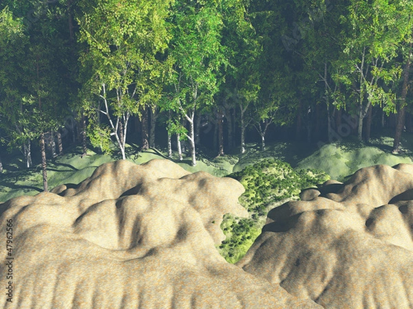 Obraz Green forest, nature background