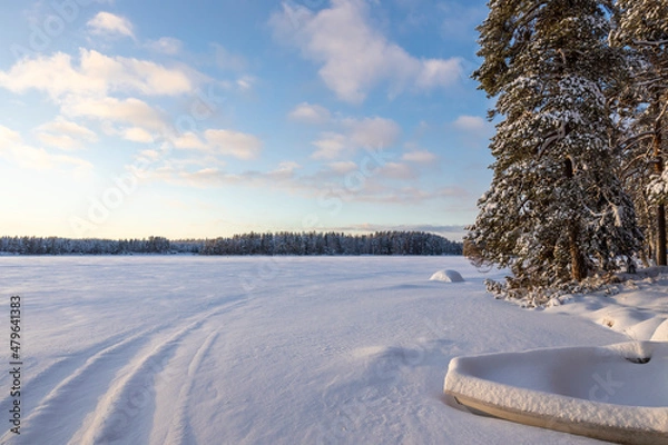 Obraz Path on the ice