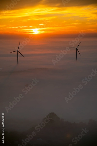 Fototapeta Luftbild Windräder bei Nebel im Sonnenaufgang