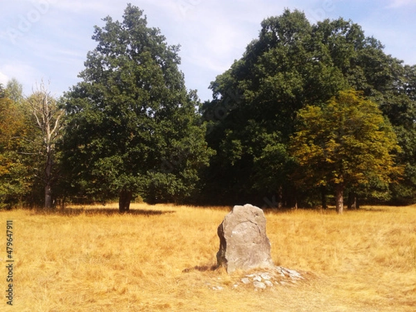 Fototapeta Field with trees and rock, megalith