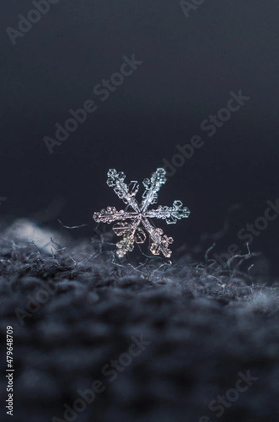 Obraz Płatek śniegu
