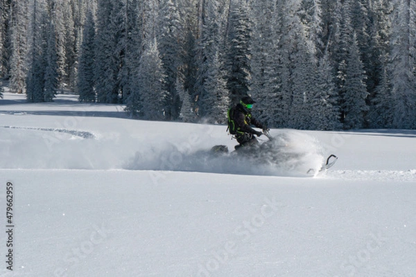 Fototapeta Snowmobile