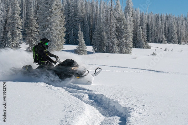 Fototapeta Snowmobile